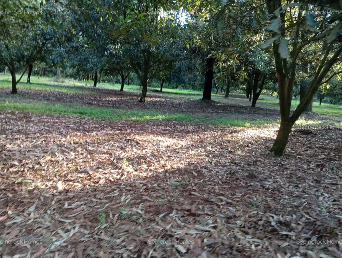 0.125 ac Residential Land at Juja Gatundu Road - 4