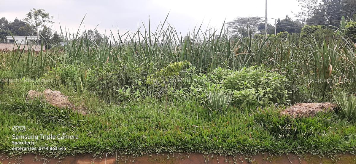 Land in Runda - 3
