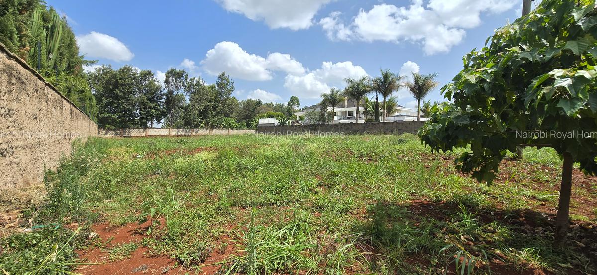Residential Land at Runda Road - 11