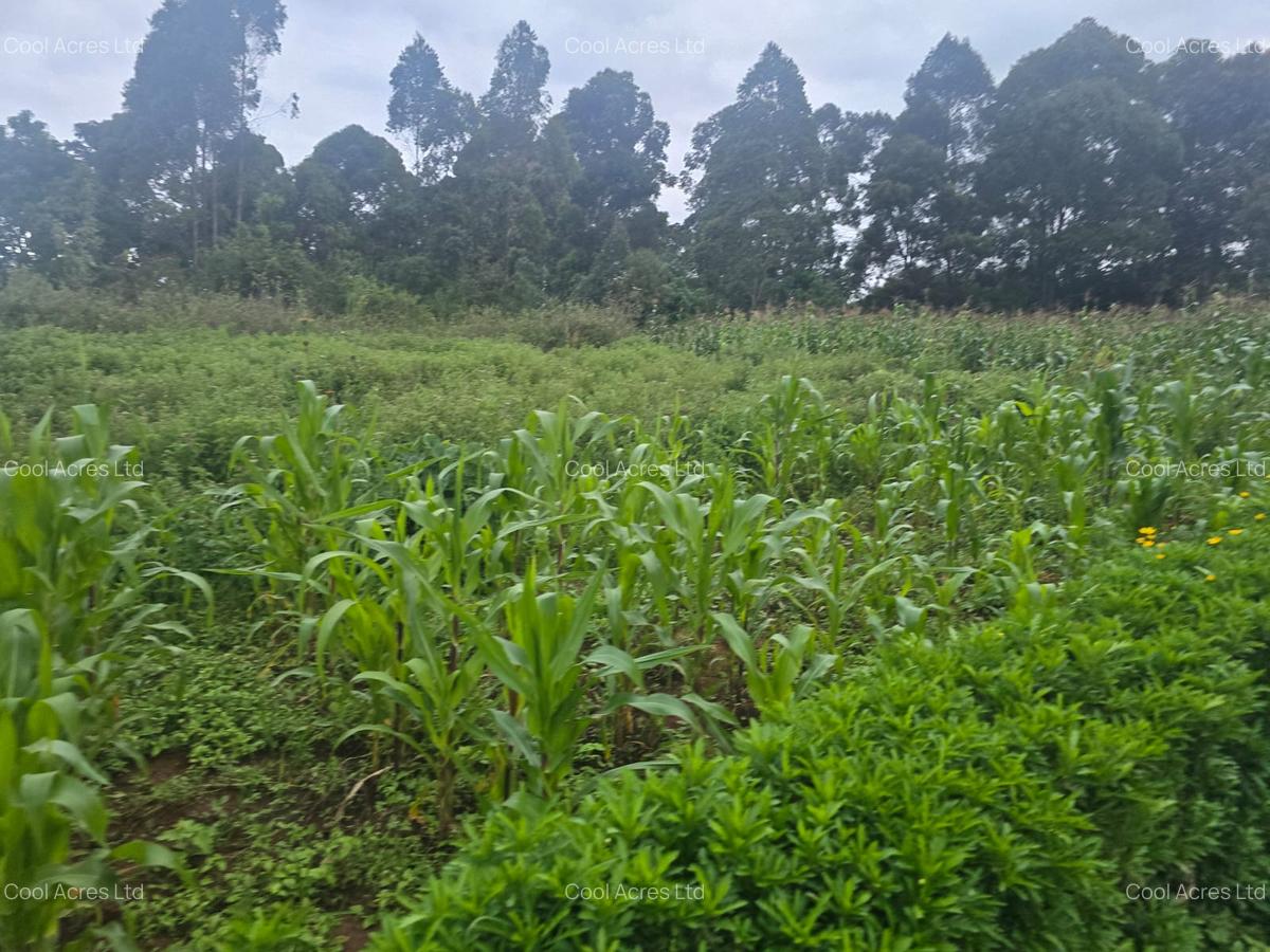 1 ac Land at Gicharani - 7