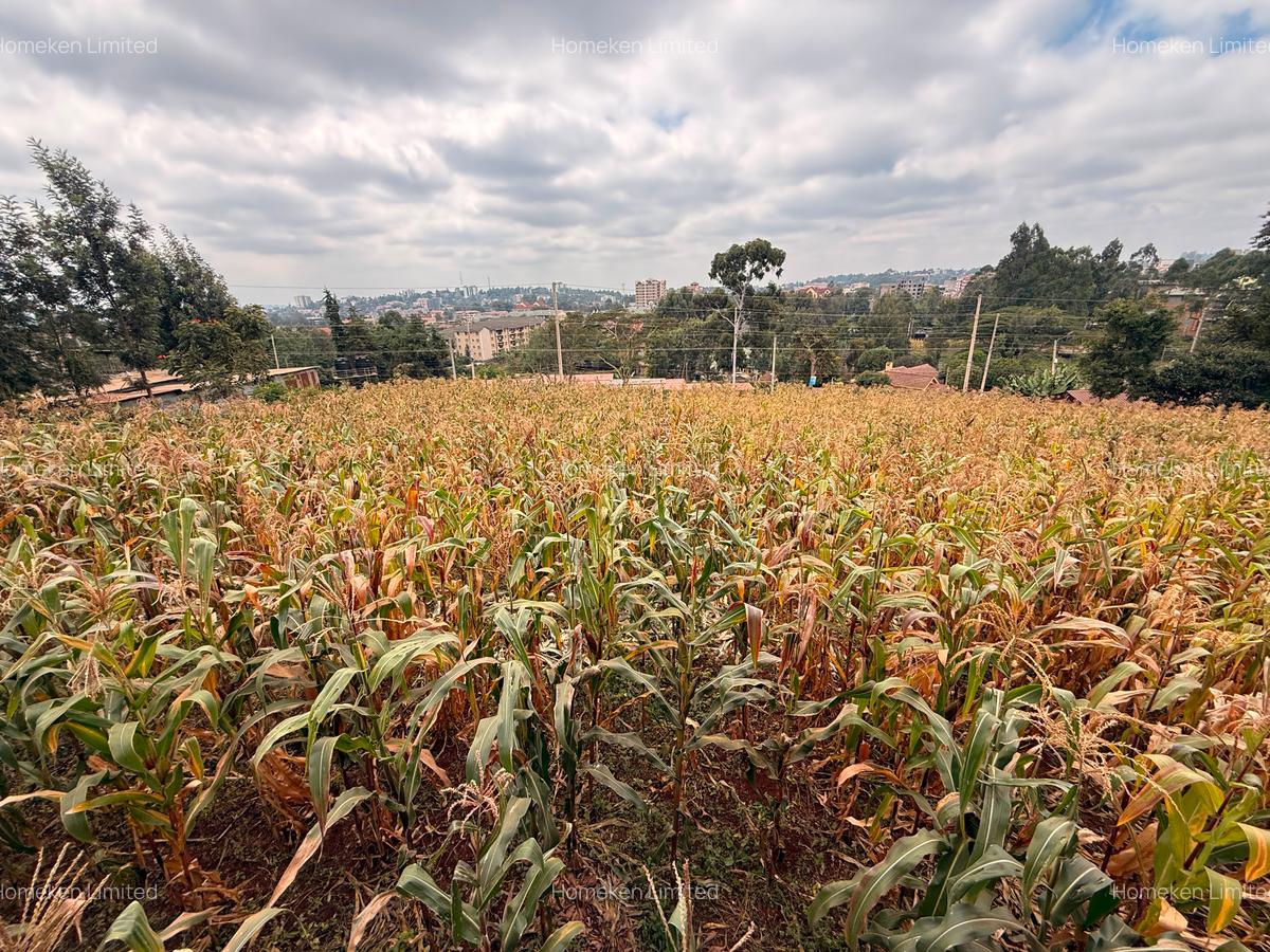 0.5 ac Land at Half Acre Commercial Land - 3