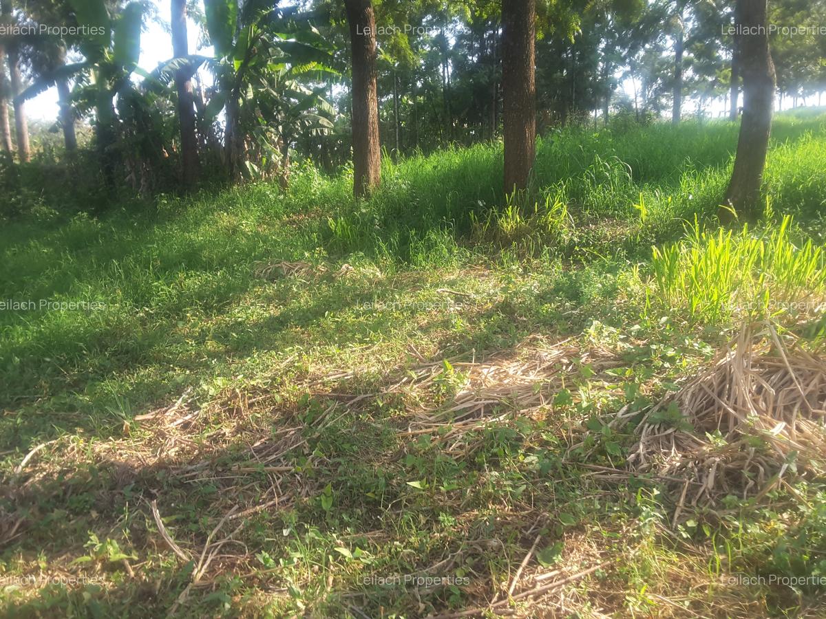 1.2 ac Land in Ngong - 15
