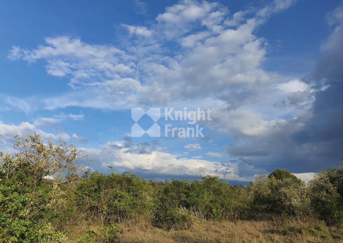 10 ac Land in Nanyuki - 2