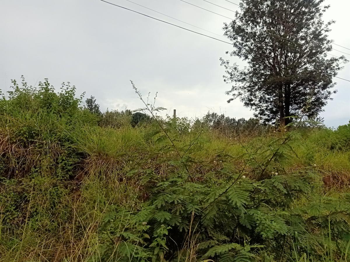 5 ac Land at Behind The New Runda Mall Along Kiambu Road - 1