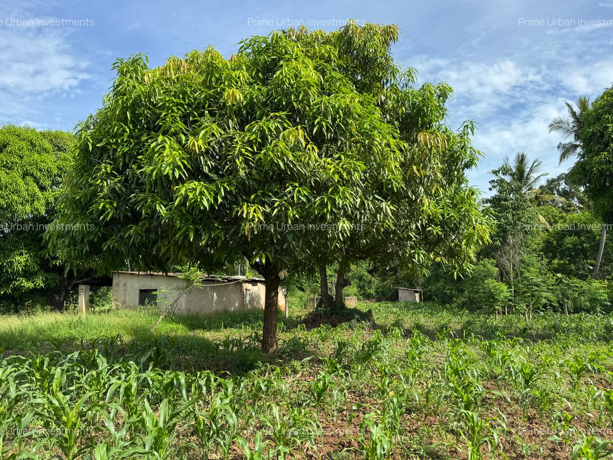 Land in Kikambala - 2