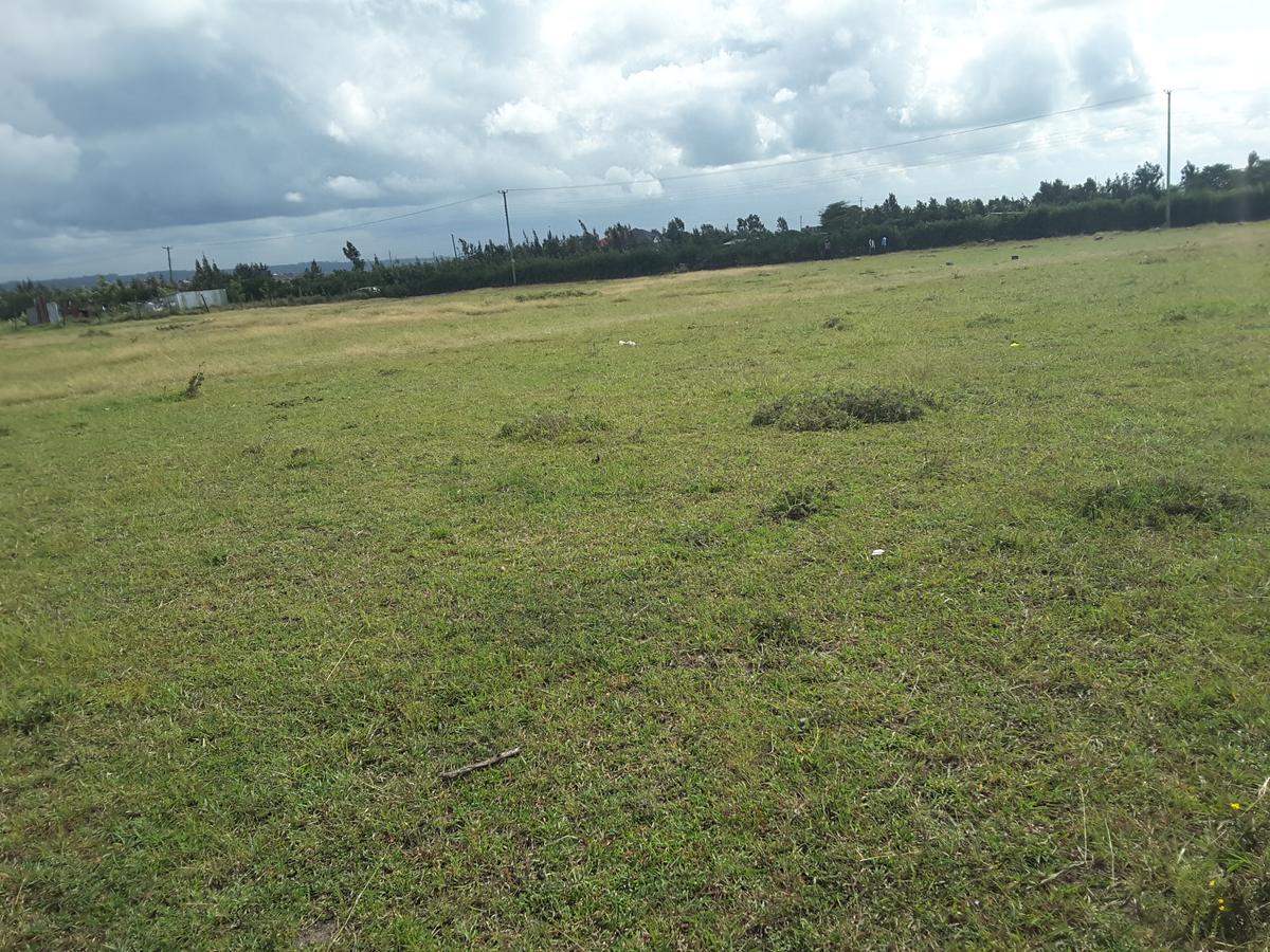 1 ac Residential Land in Ongata Rongai - 15