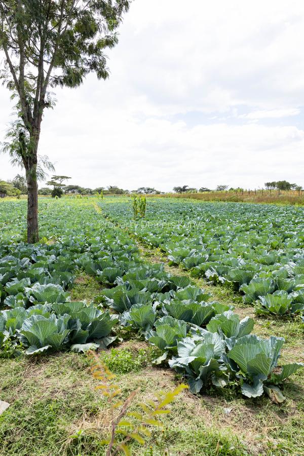 505 ac Residential Land at Giachuma - 16