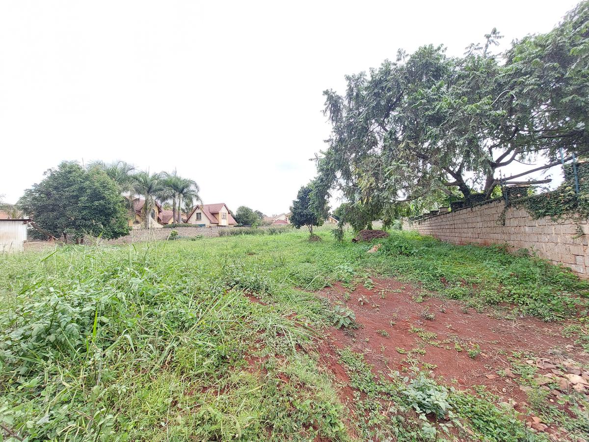 Residential Land at Ruaka Road - 2