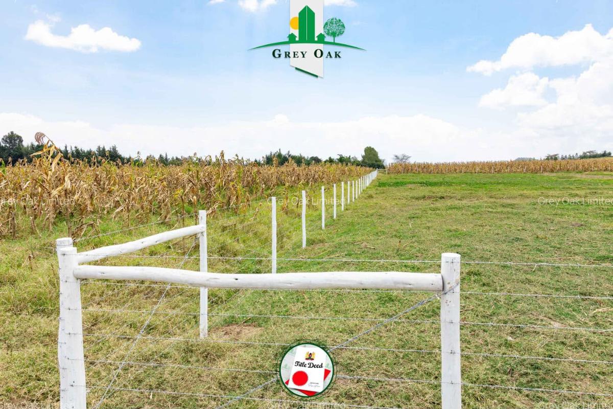 0.0430 ha Residential Land in Naivasha - 3