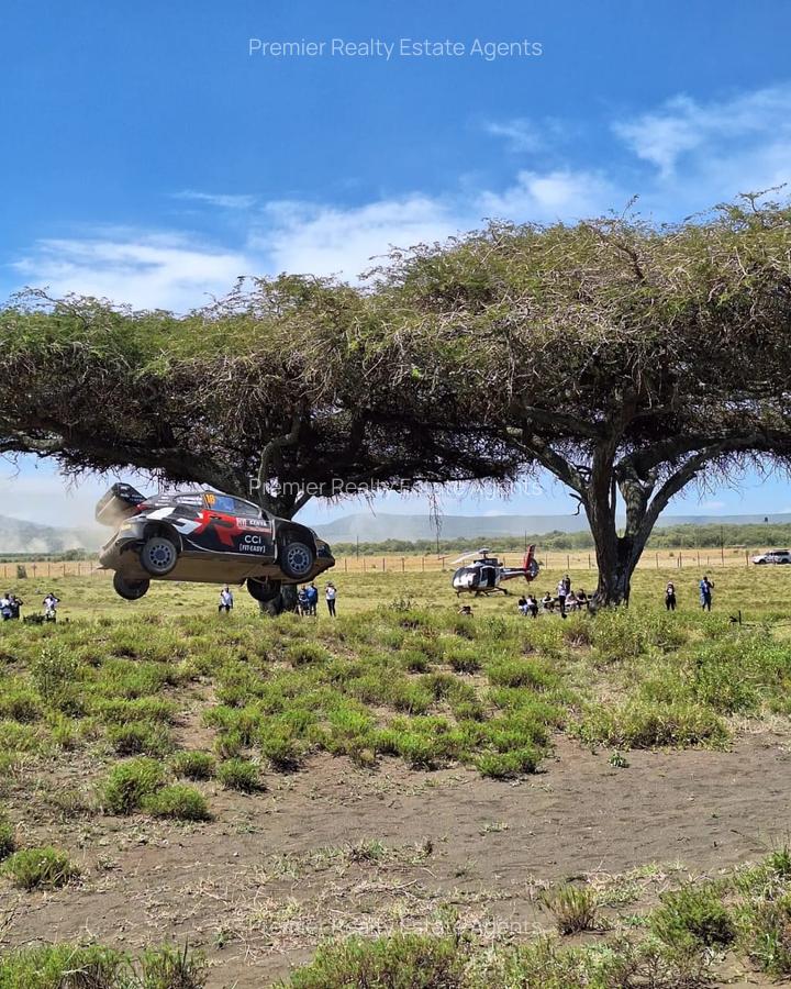 0.48 ac Residential Land at Naivasha - 7