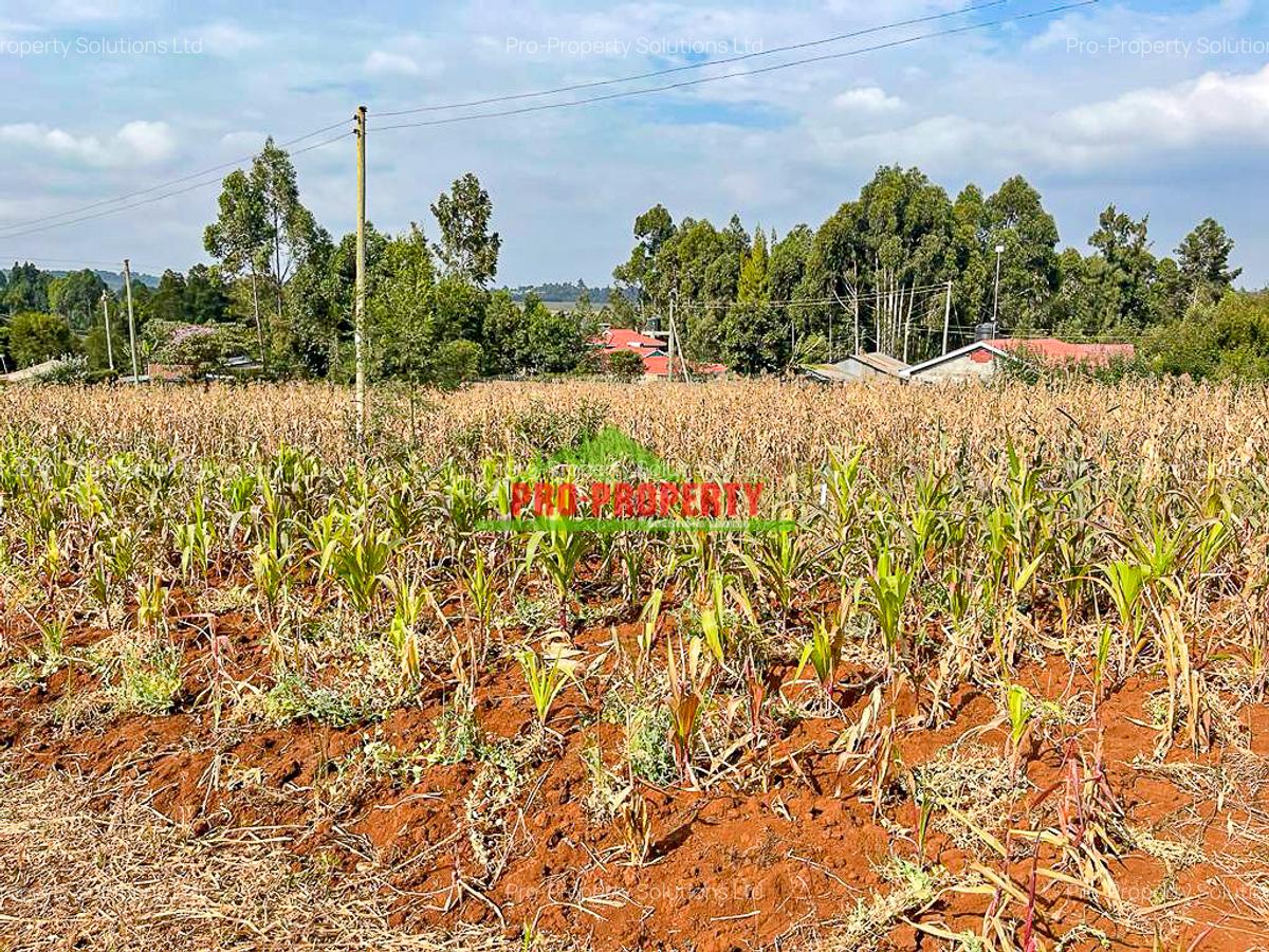 0.05 ha Residential Land in Kamangu - 16