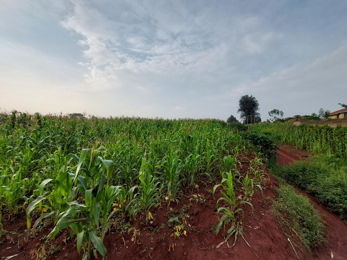 Land at Kitisuru Road - 7