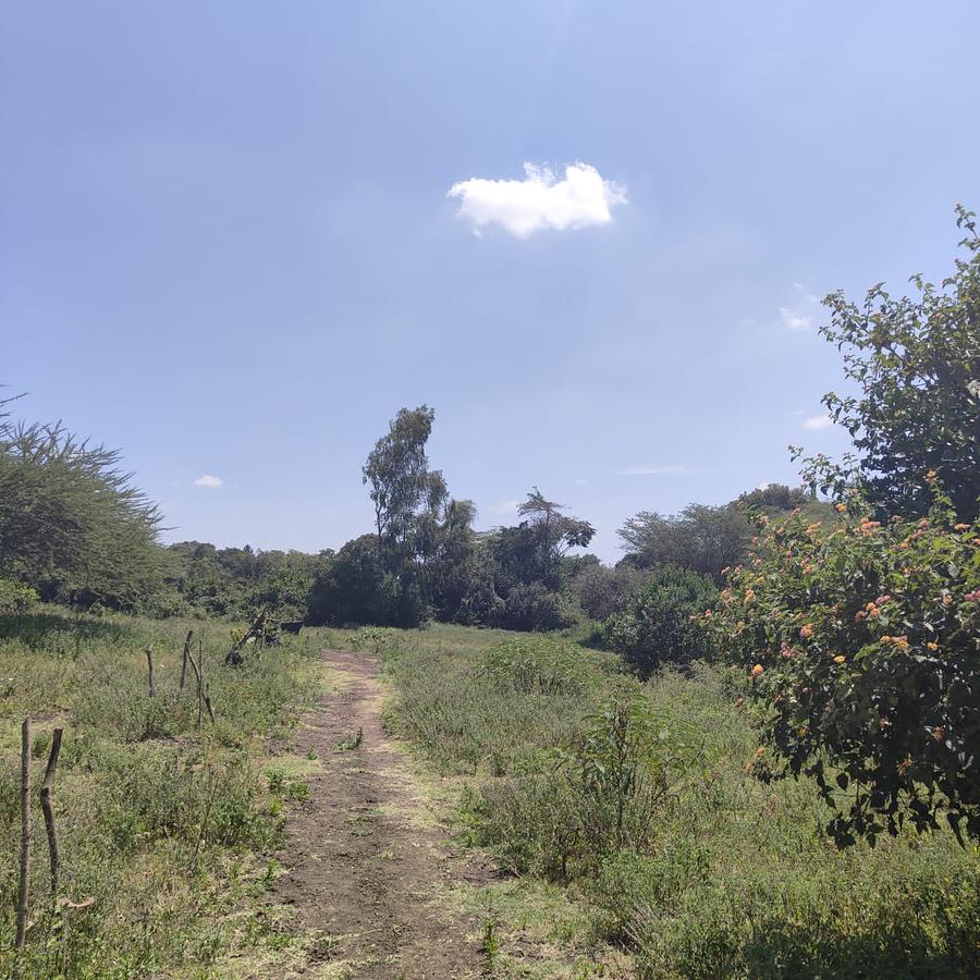 1 ac Land at Ndovu Road - 4