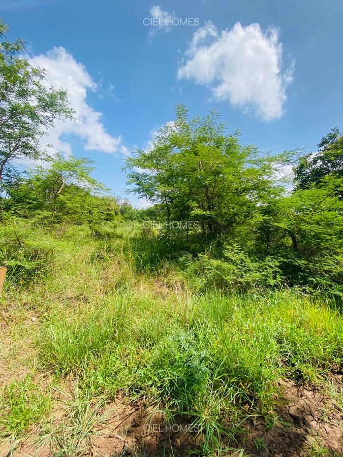 19 ac Land at Kenol-Makutano Highway - 16