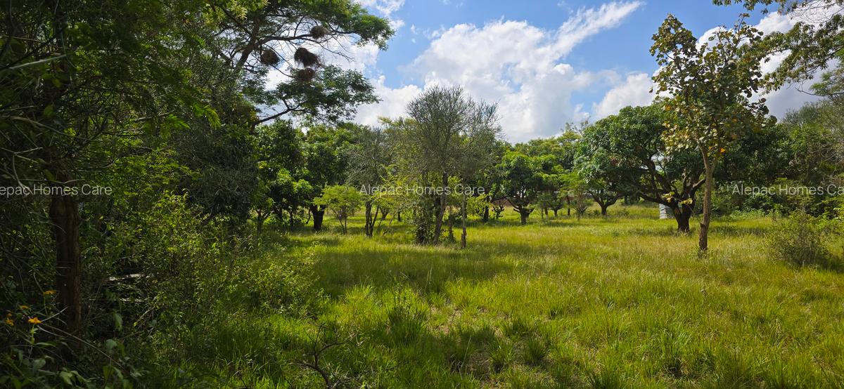 4 ac Land at Juja - 1