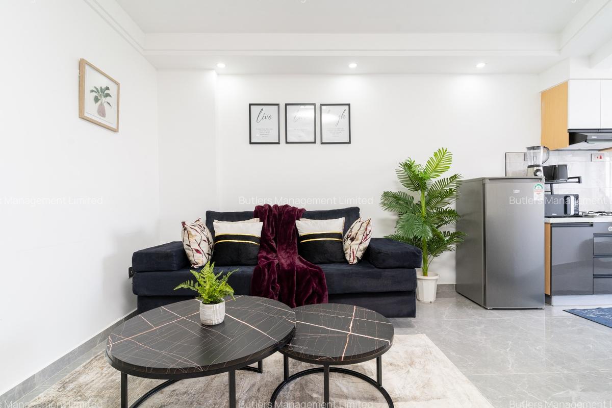 Furnished 1 Bed Apartment with En Suite at Othaya Road - 9