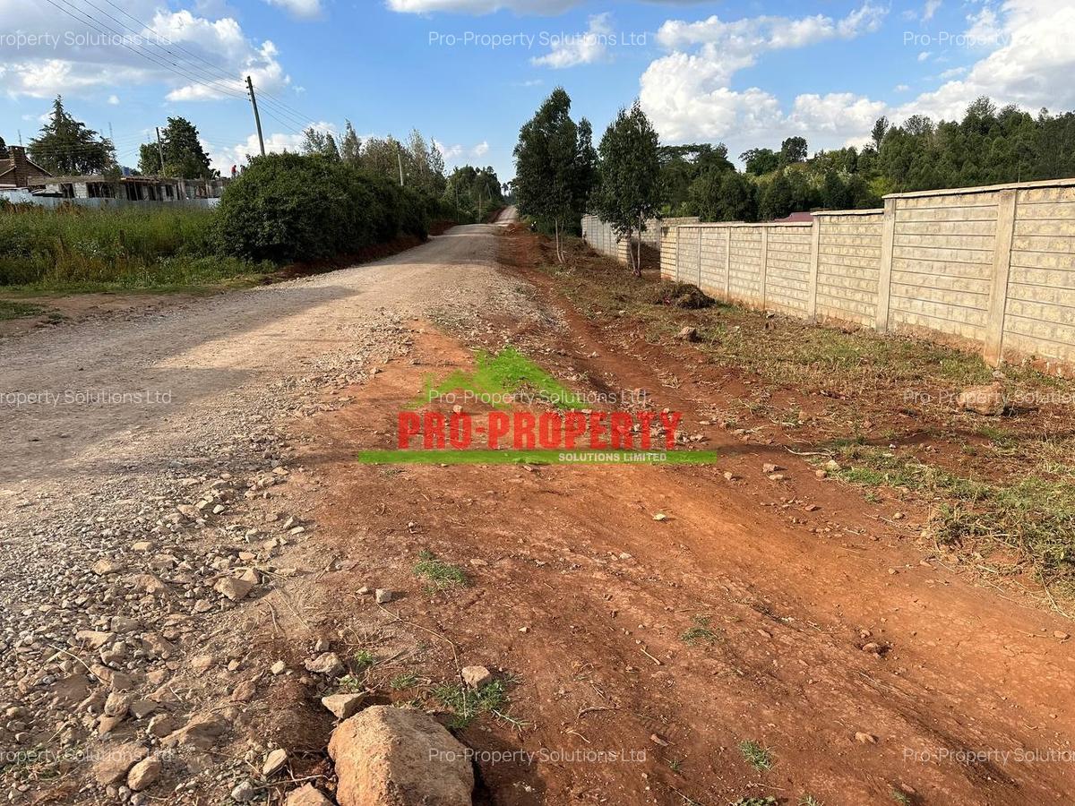 0.46 ha Residential Land at Ondiri - 11
