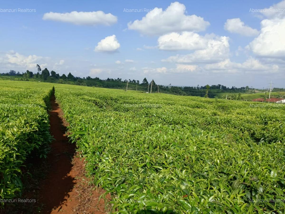 67 ac Land at Ndumberi-Ngorongo Road - 8