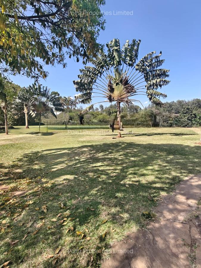 20 ac Land in Karen - 1