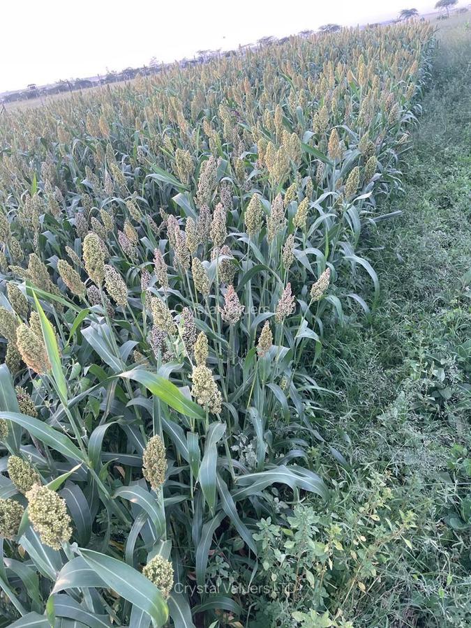 Land in Athi River - 6