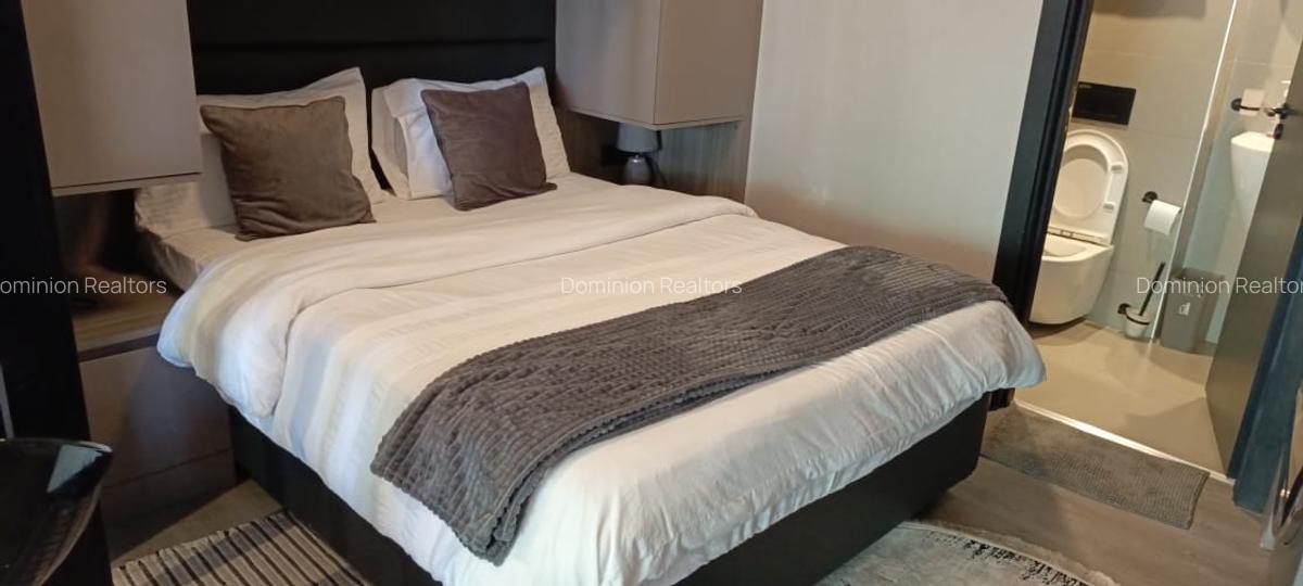 Furnished Studio Apartment with En Suite at Off Raphta Road - 12