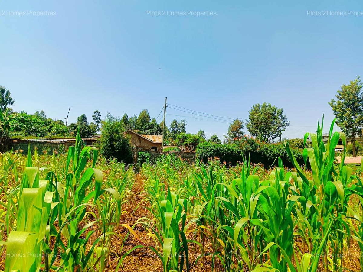 1,000 m² Residential Land at Gikambura - 7