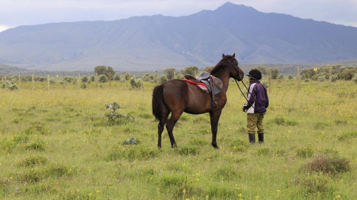 0.8 ac Residential Land at Pana Ranch - 7