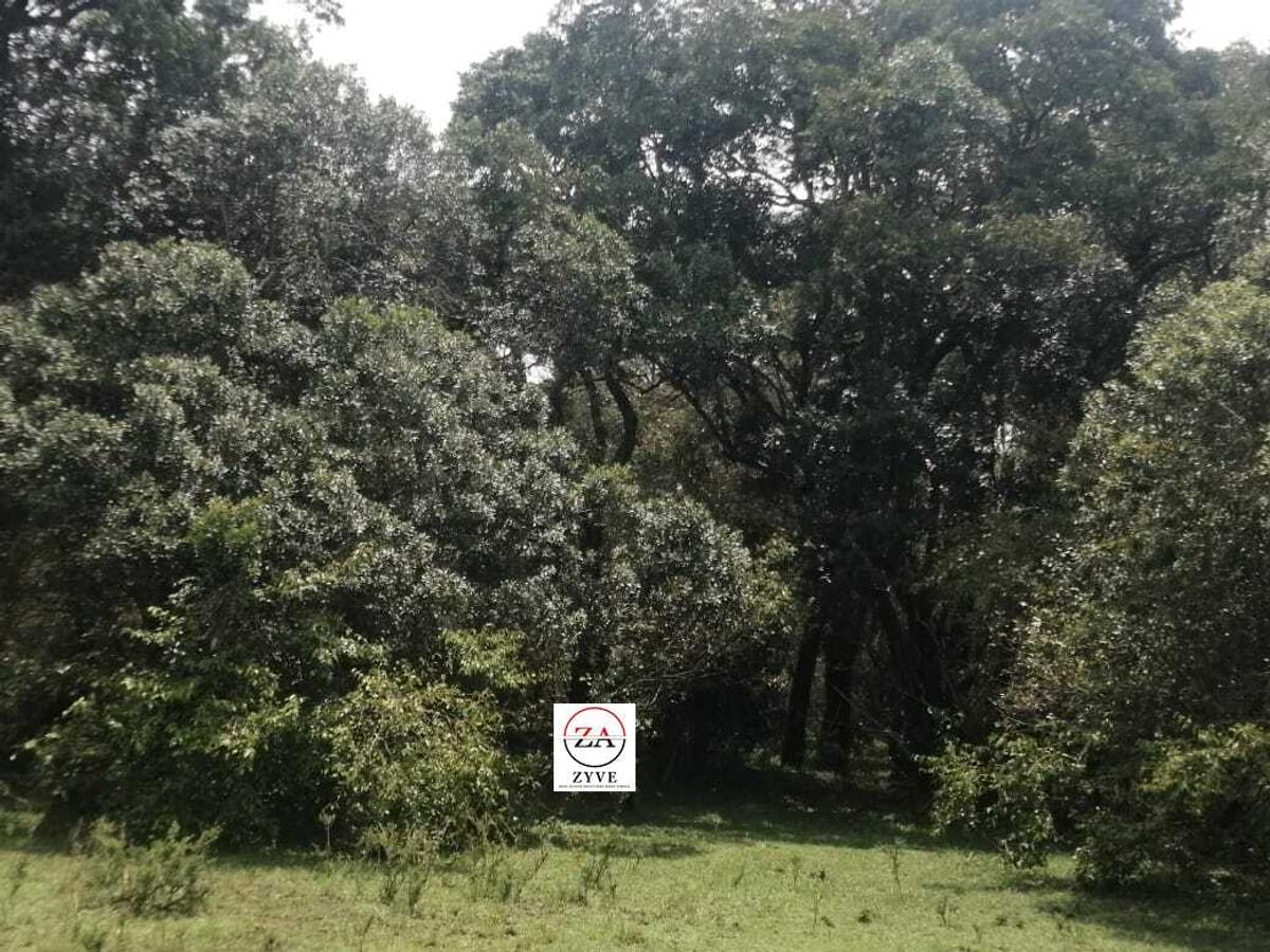 70 ac Commercial Land at Masai Mara - 2