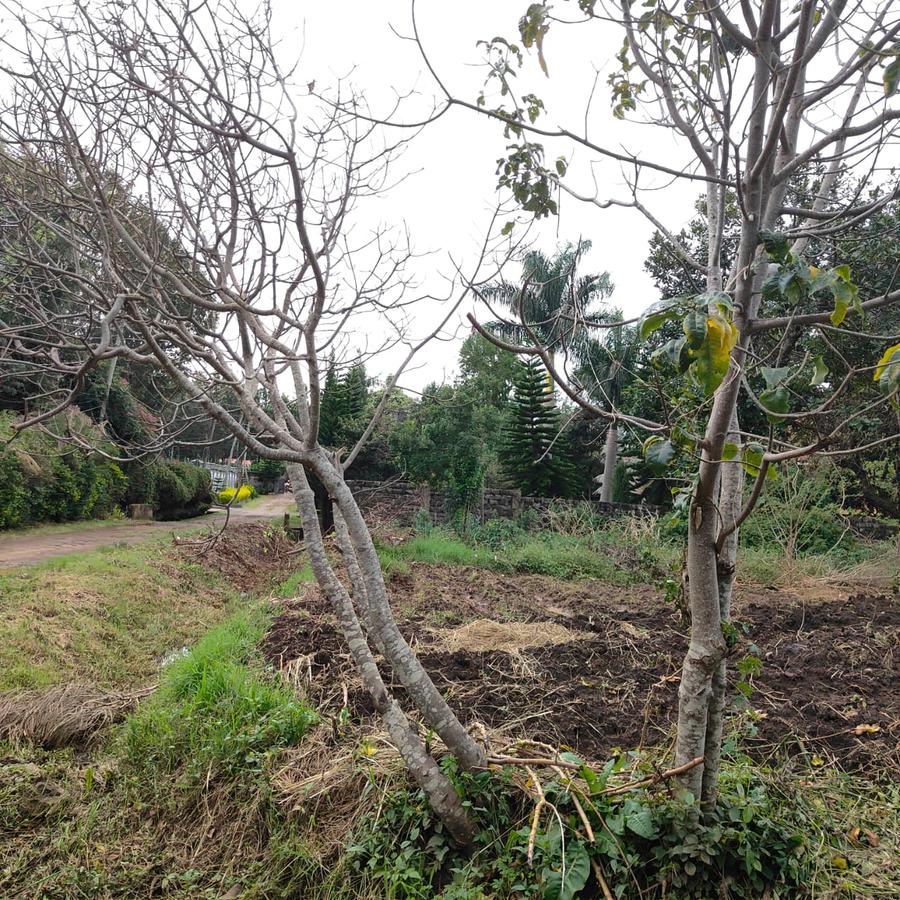 0.5 ac Land at Hillcrest Road - 5