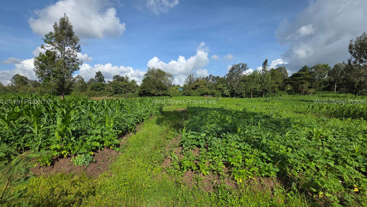 Commercial Property with Service Charge Included at Mutuini Primary - 11