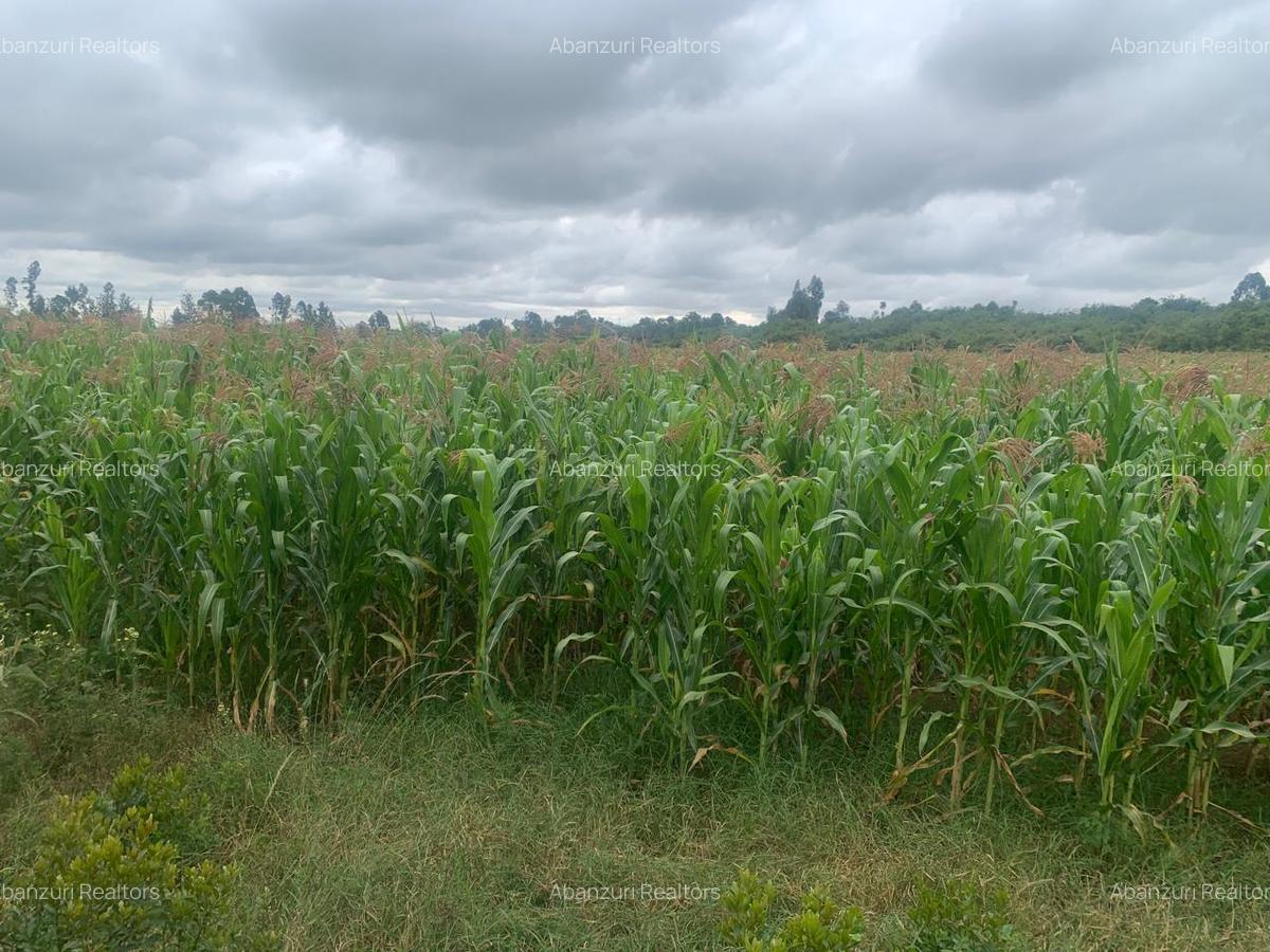 Land at Muhotetu - 8