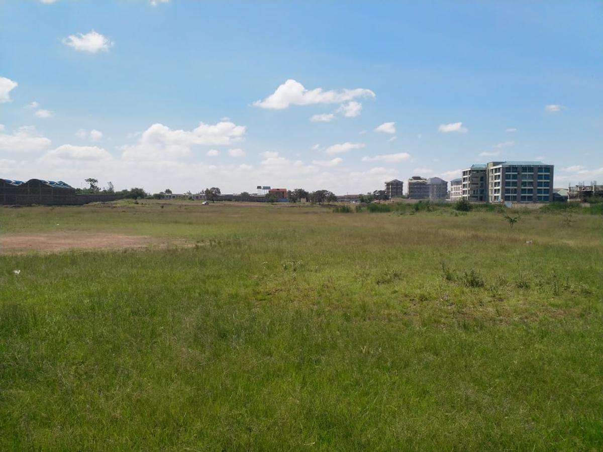 Land in Ruiru - 11