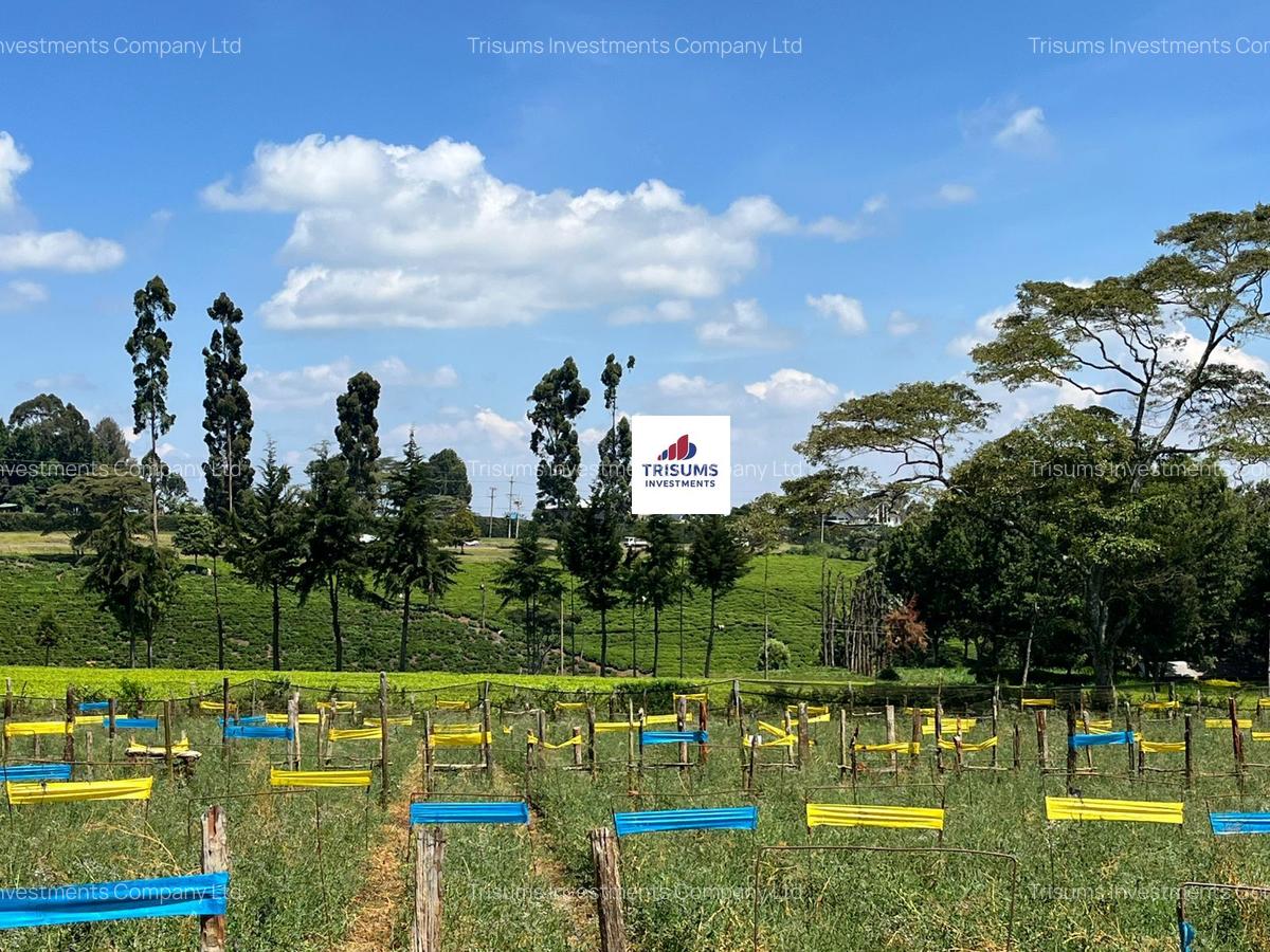 16.5 ac Land in Tigoni - 2