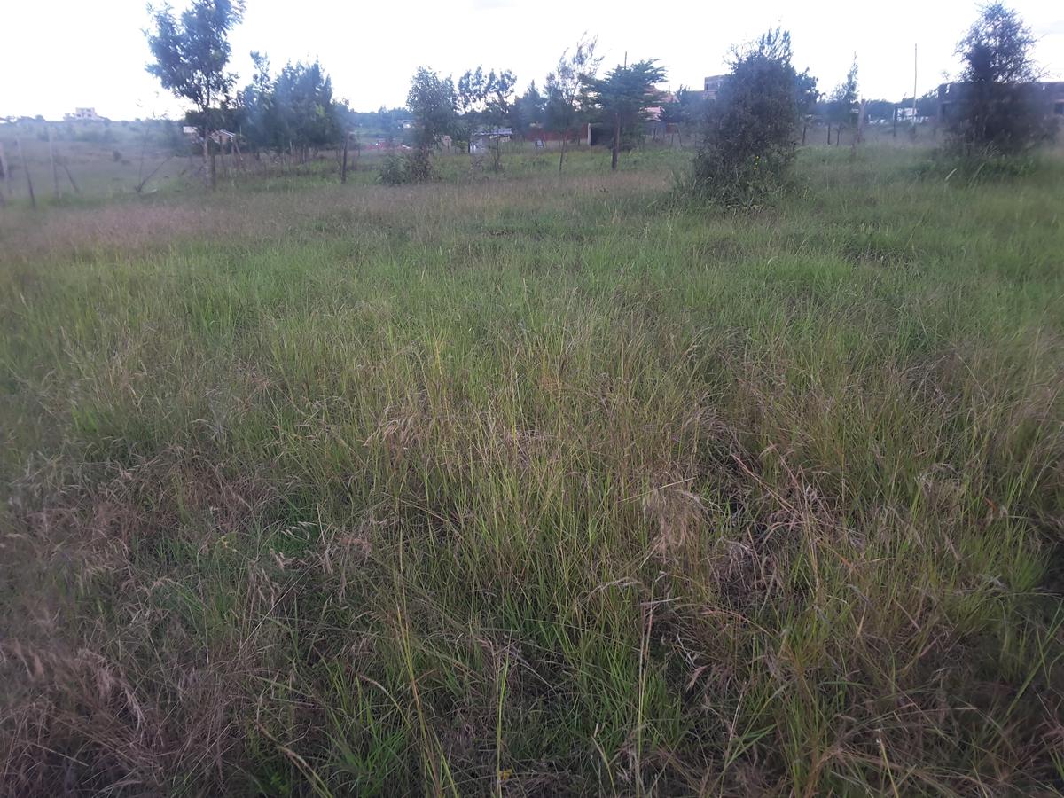 0.25 ac Land in Ongata Rongai - 11