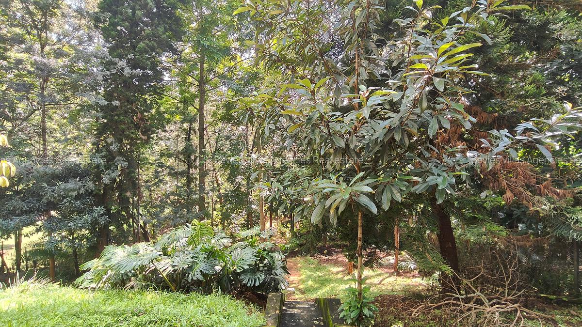 Residential Land at Kyuna - 5