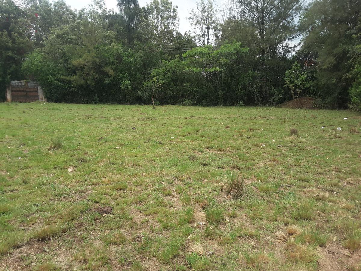 0.5 ac Residential Land in Karen - 1