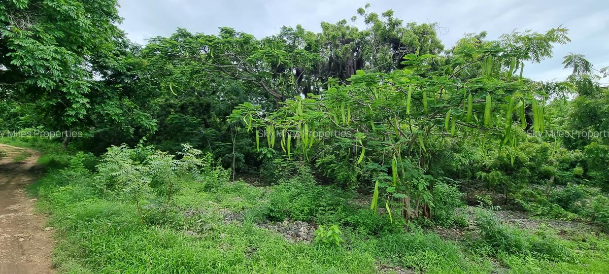 15 ac Land at Kuruwitu - 15