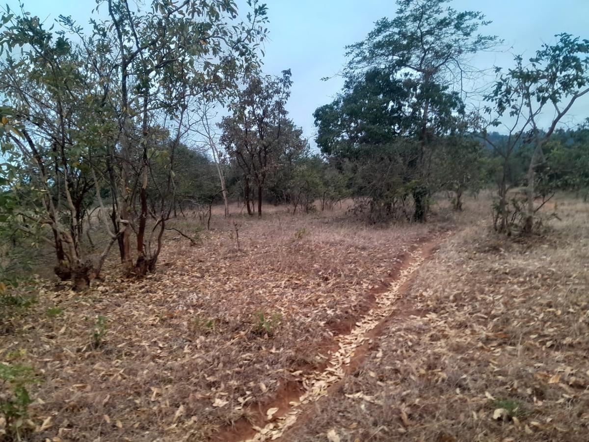 9 ac Land at Ithanga - 4