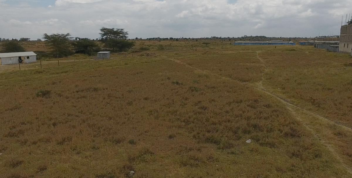 3.5 ac Land at Opposite Pj Dave - 2