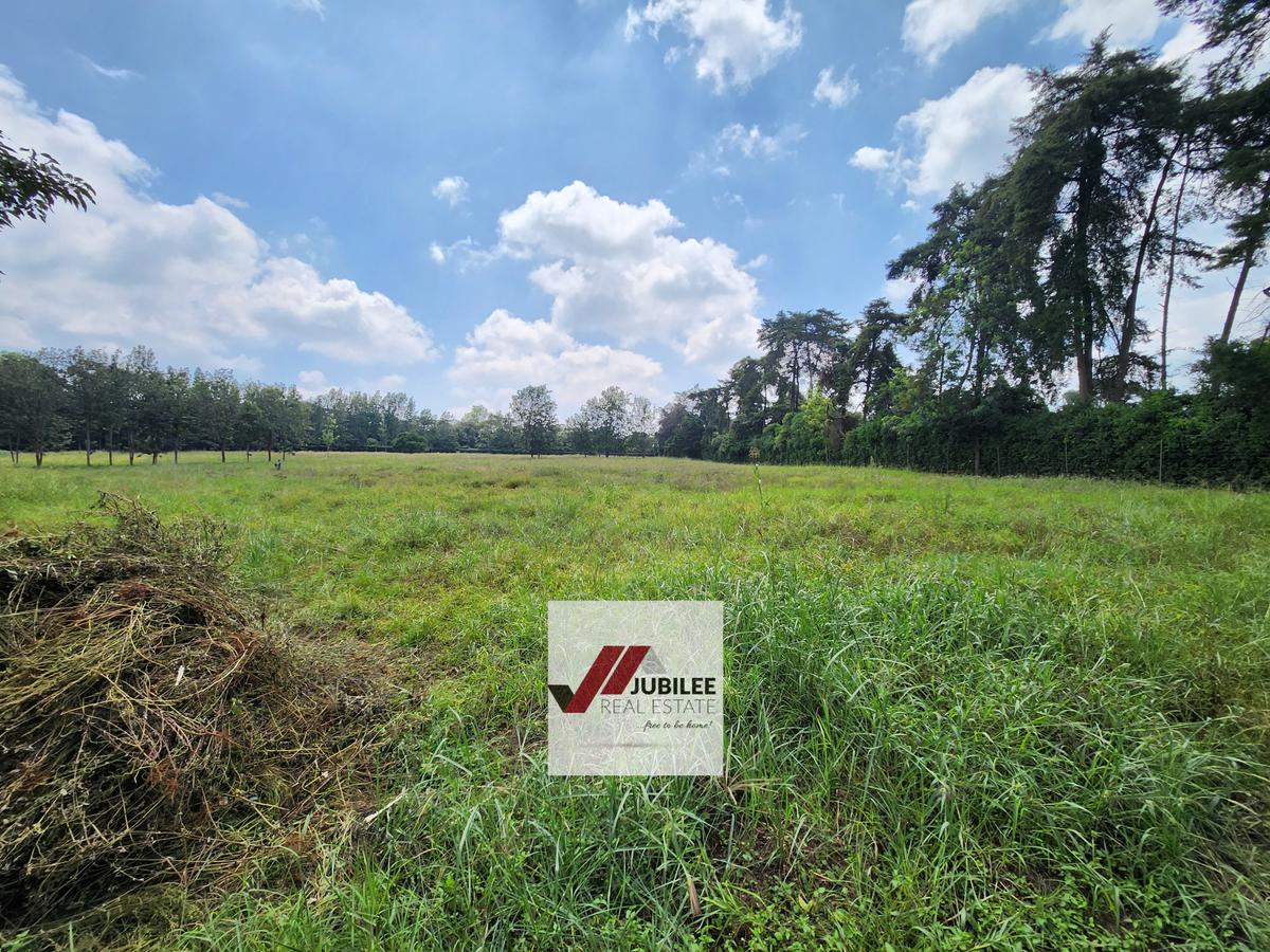 5 ac Land in Karen - 7