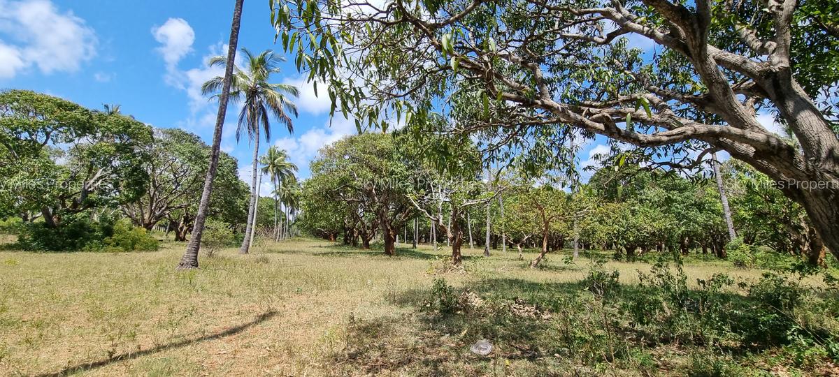 6 ac Land at Mtwapa - 5