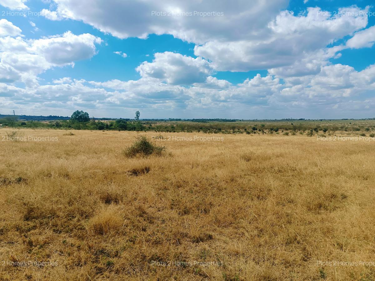 40 ac Land at Yukos - 6