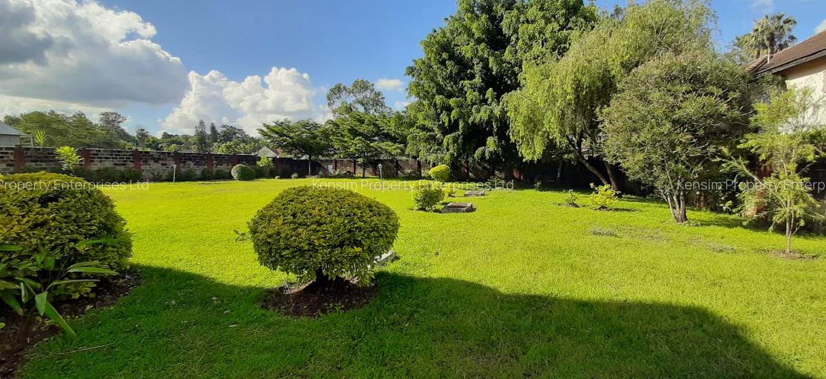 1 ac Commercial Property with Backup Generator in Lavington - 4