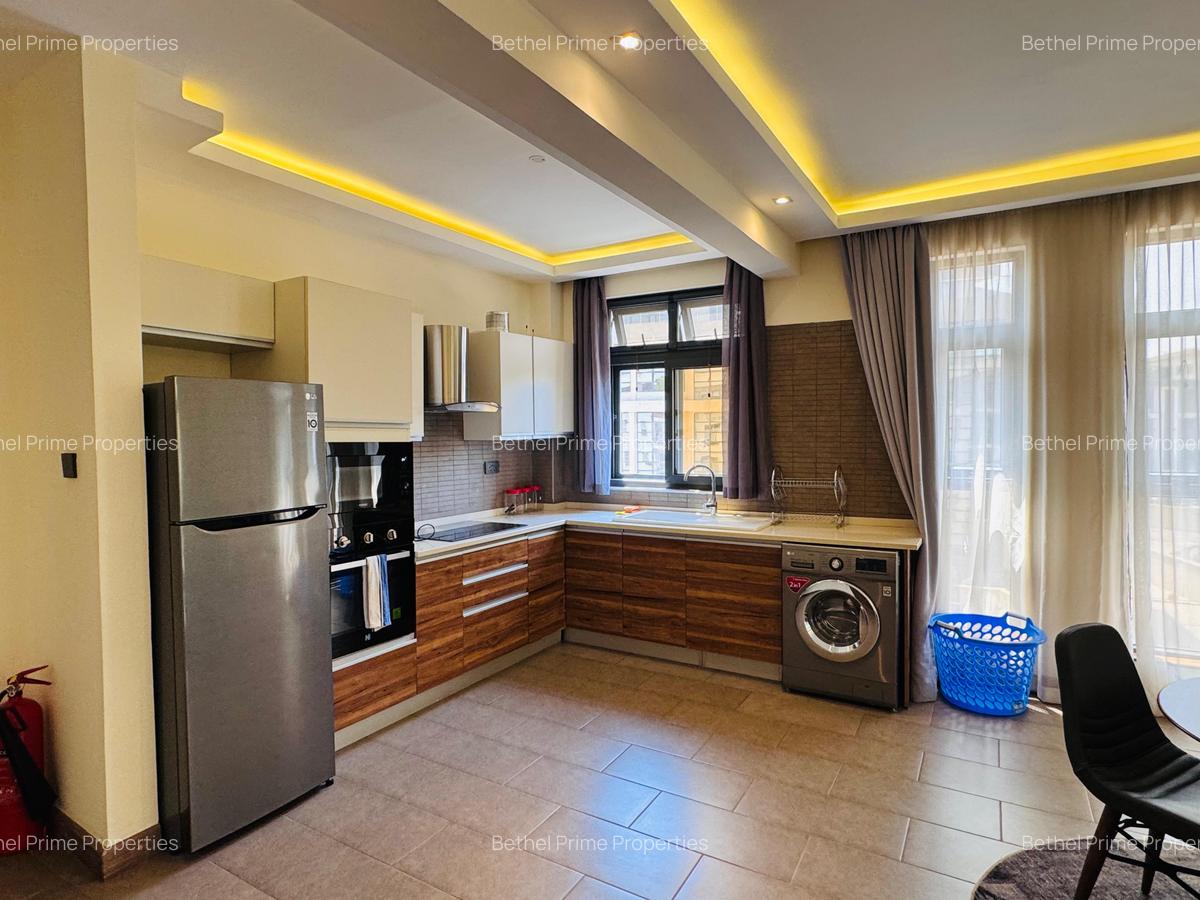 Furnished 1 Bed Apartment with En Suite in Spring Valley - 8