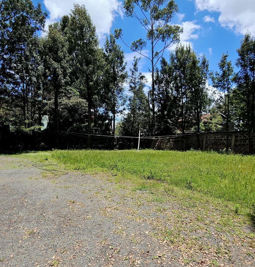 0.5 ac Residential Land at Kerarapon Drive - 4