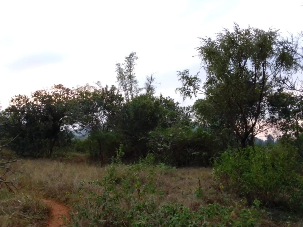 9 ac Land at Ithanga - 6