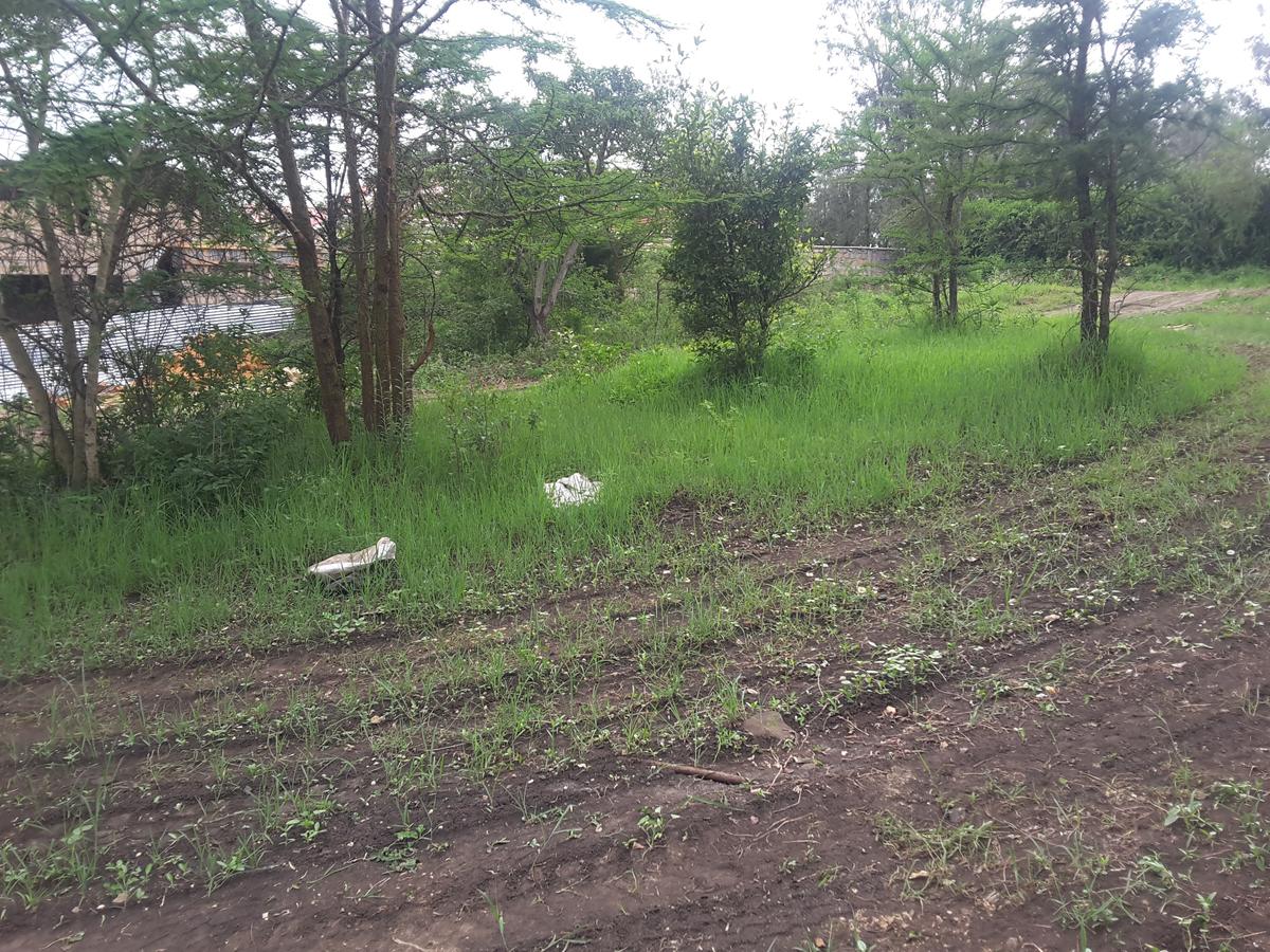 0.25 m² Land in Ongata Rongai - 6