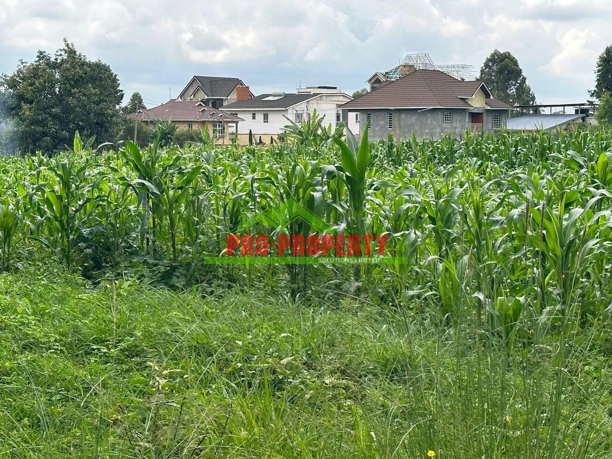 0.1 ha Residential Land at Kikuyu - 6