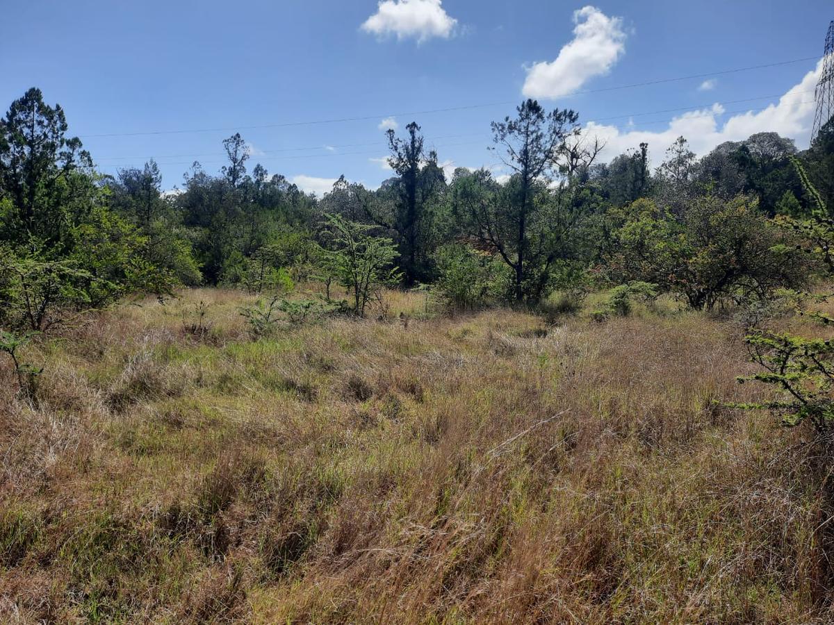 6 ac Land in Nanyuki - 3