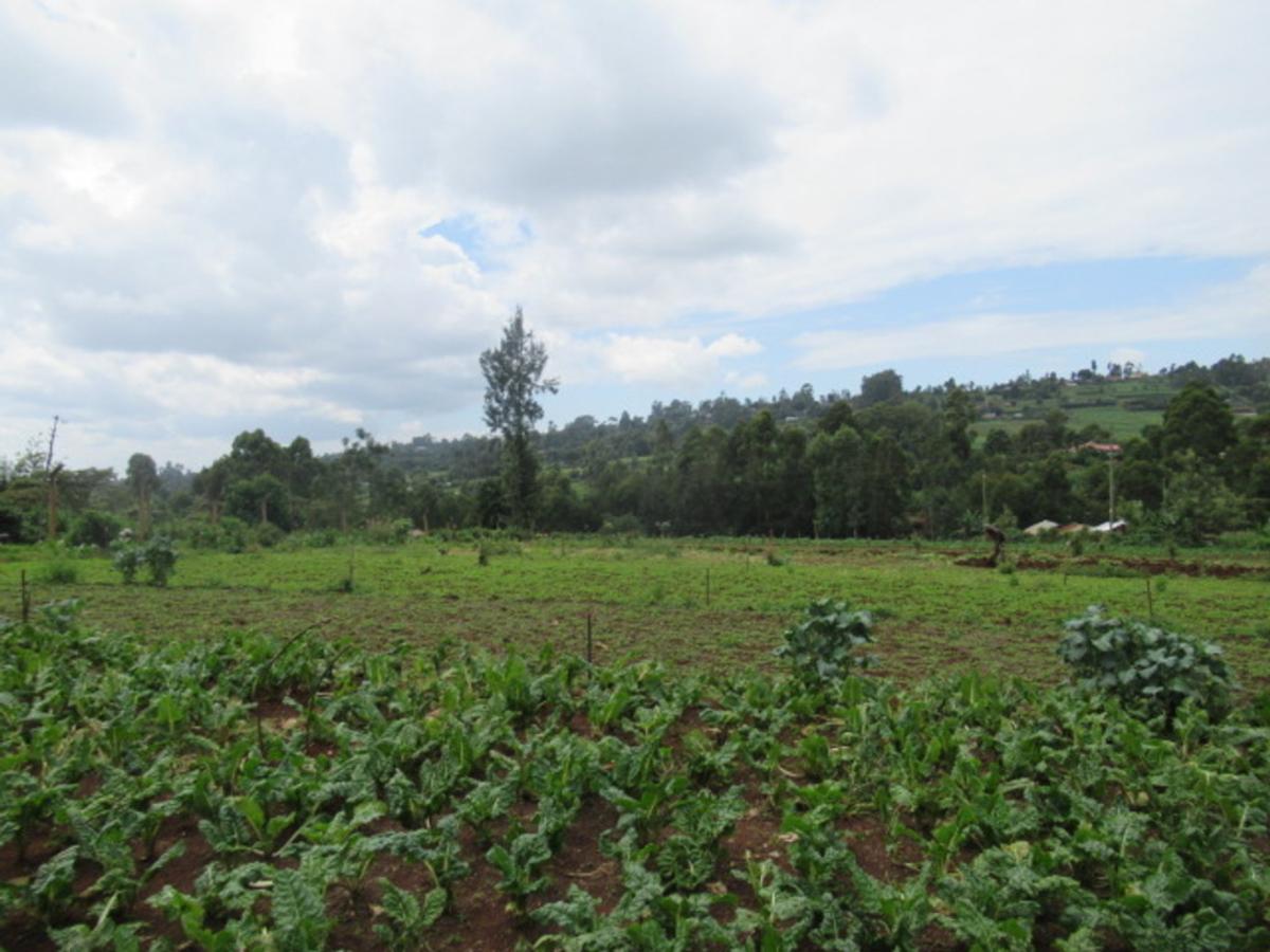 3.25 ac Land at Ngecha-Wangige Rd